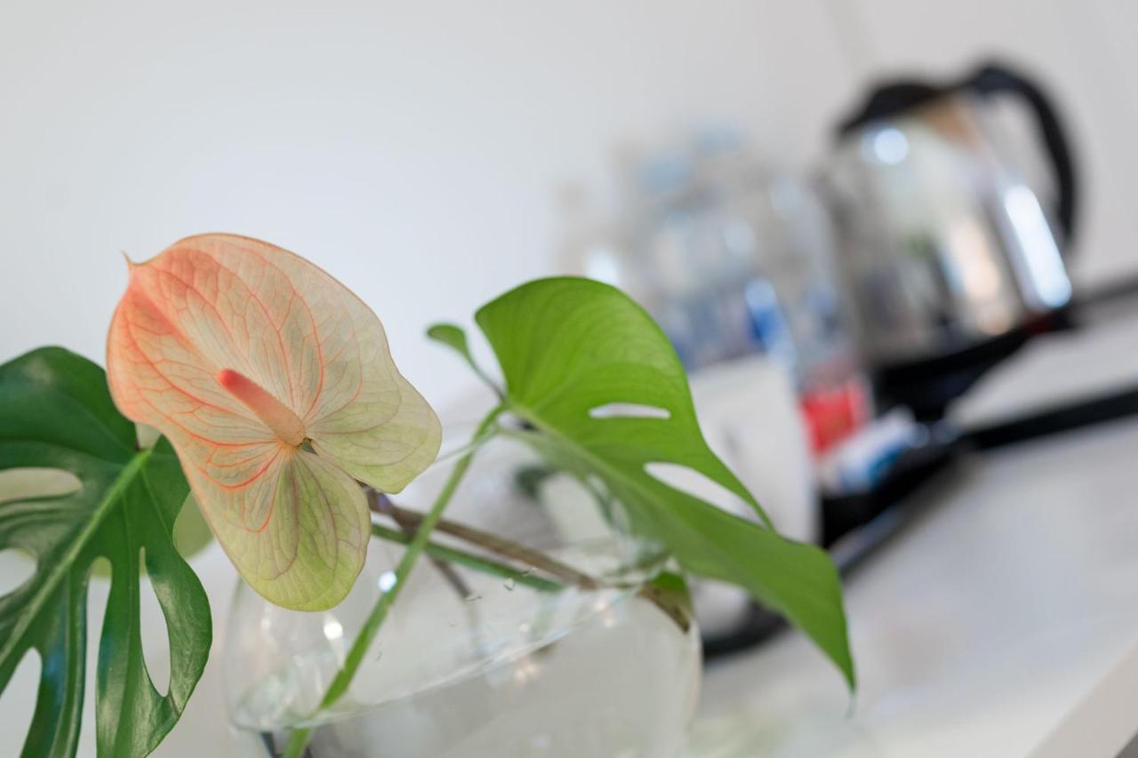 La Ripa Boutique Hotel Albino 外观 照片